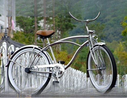 1 Speed Alloy Stem CP Silver Polish Color Fork 26*2.125 26&quot; Uomo Beach Cruiser Bike