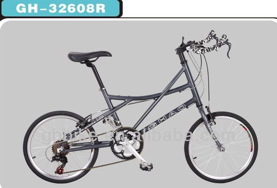 14 velocità 20 pollici Mini Road Bike Bicicleta con doppia parete bordo in alluminio e pieghevole