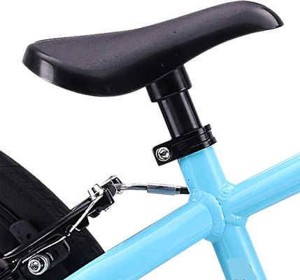 20&quot; Carbon Mountainbike Retro Disegni Single-Speed Drivetrain Professionale BMX Acciaio Rim