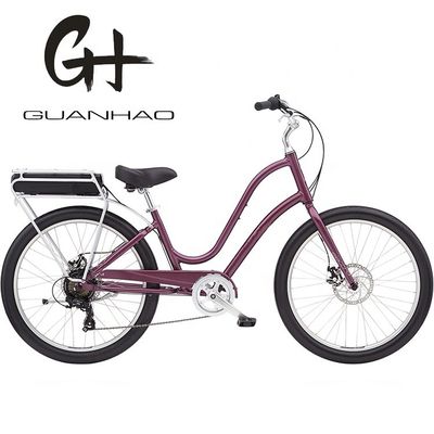 High Speed 29&quot; Electric Bike con motore da 48V 500W e batteria al litio di lunga durata