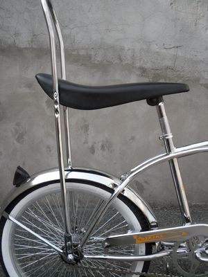 20 pollici di acciaio CP Frame Coaster Spring Fork Mini Child Lowrider Bike con pedale ordinario