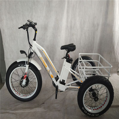 750W Electric Bike 3 Ruote Pneumatici per adulti E Trike Cargo Torque 70-80 Nm Freni a disco
