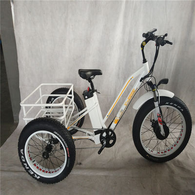 750W Electric Bike 3 Ruote Pneumatici per adulti E Trike Cargo Torque 70-80 Nm Freni a disco