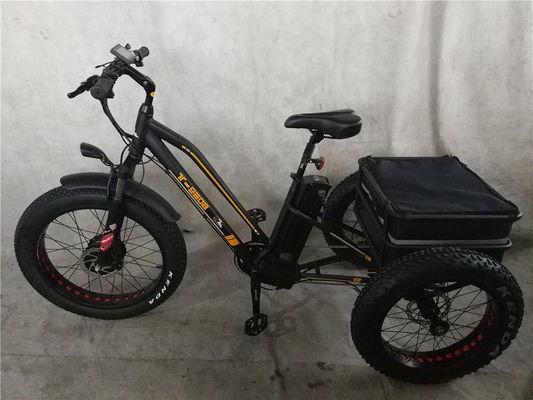 750W Electric Bike 3 Ruote Pneumatici per adulti E Trike Cargo Torque 70-80 Nm Freni a disco