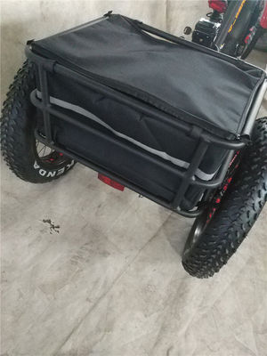 750W Electric Bike 3 Ruote Pneumatici per adulti E Trike Cargo Torque 70-80 Nm Freni a disco