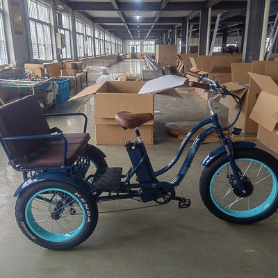 750W Electric Bike 3 Ruote Pneumatici per adulti E Trike Cargo Torque 70-80 Nm Freni a disco