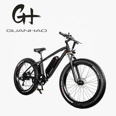 30-50Km/h Max velocità 1000W 48V 17AH Electric Mountain Bike con 7 velocità e freno a disco