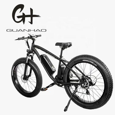 30-50Km/h Max velocità 1000W 48V 17AH Electric Mountain Bike con 7 velocità e freno a disco