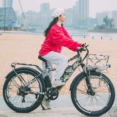 Bici elettrica da montagna per pneumatici grassi da neve con mozzo posteriore 52V 1000W Bafang 17AH al litio 55KM/H