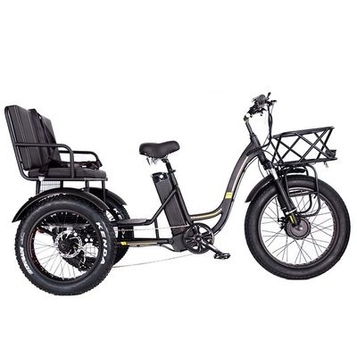 Triciclo elettrico leggero a telaio in alluminio 48V 750W 21AH 50KM/H per passeggeri adulti