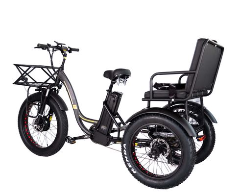 Triciclo elettrico leggero a telaio in alluminio 48V 750W 21AH 50KM/H per passeggeri adulti
