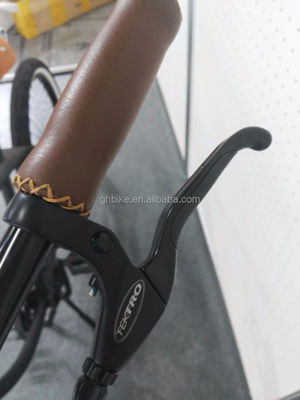 26 pollici uomo single velocità Vintage Spring Fork Beach Cruiser per la competizione Flatland