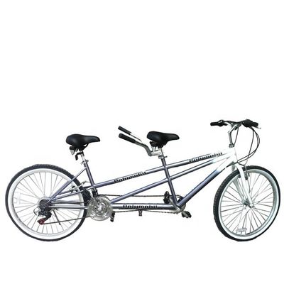 26 pollici 18 Speed Mountain Retail 20% di sconto CE OEM EN14764 Doppia persona Tandem Bike