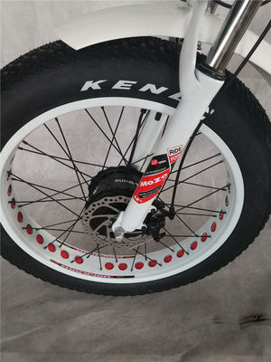 Motore anteriore da 750W 24 4.0 Fat Tire Snow 48V E Trike Tricycle elettrico a tre ruote