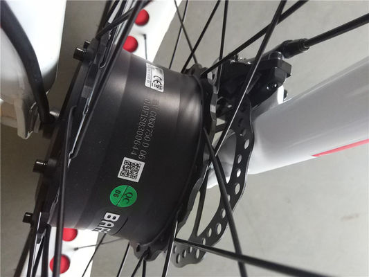 Motore anteriore da 750W 24 4.0 Fat Tire Snow 48V E Trike Tricycle elettrico a tre ruote