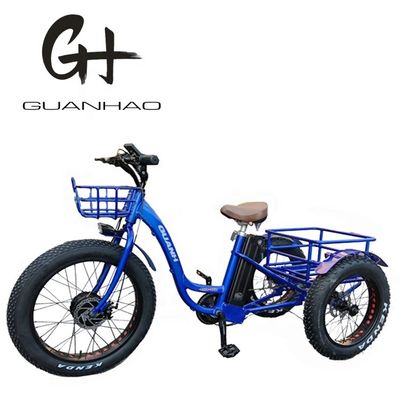 24-20" triciclo OEM cargo con grande motore da 750W 21AH SM batteria al litio 45KM/h UL2849