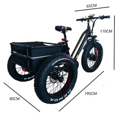 24-20" triciclo OEM cargo con grande motore da 750W 21AH SM batteria al litio 45KM/h UL2849