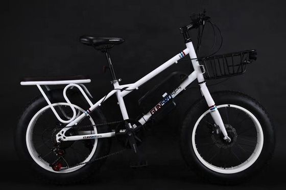 20&quot; 500W 48V13AH OEM/ODM EN15194 Bicicletta elettrica a freno a disco per divertimento all'aperto per bambini piccoli