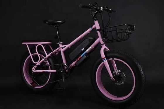 20&quot; 500W 48V13AH OEM/ODM EN15194 Bicicletta elettrica a freno a disco per divertimento all'aperto per bambini piccoli