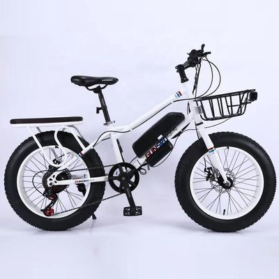20&quot; 500W 48V13AH OEM/ODM EN15194 Bicicletta elettrica a freno a disco per divertimento all'aperto per bambini piccoli