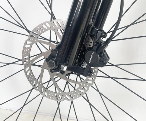 27.5" Batteria al litio 1000W Elettromobile da montagna con 9 velocità e sospensione completa