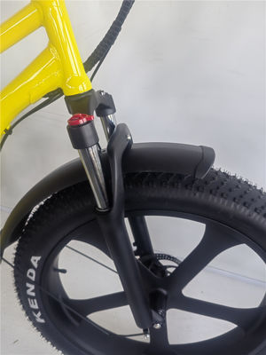 26 pollici di grasso 4.0 pneumatico 48V 750W 45KM/h 21AH Electric Beach Cruiser Bike con display LCD