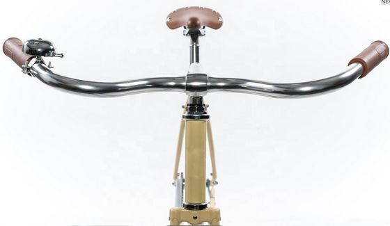 Cornice dura 1.8m Lunghezza CE Coaster Brake Single Speed City Bike ibrida per uomini adulti