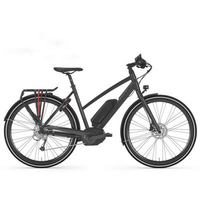 Bafang Central Motor 25KM/H 8.8AH Batteria al litio OEM CE Electric City Cargo Bike