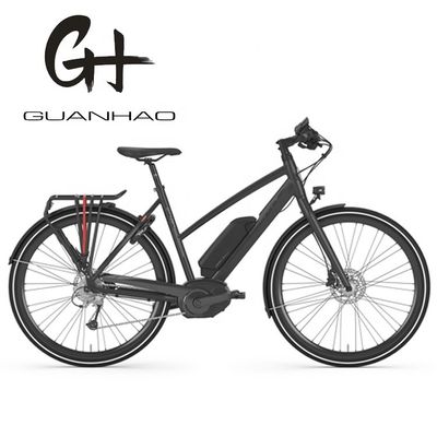 Bafang Central Motor 25KM/H 8.8AH Batteria al litio OEM CE Electric City Cargo Bike