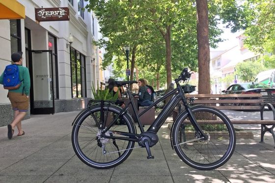 Bafang Central Motor 25KM/H 8.8AH Batteria al litio OEM CE Electric City Cargo Bike