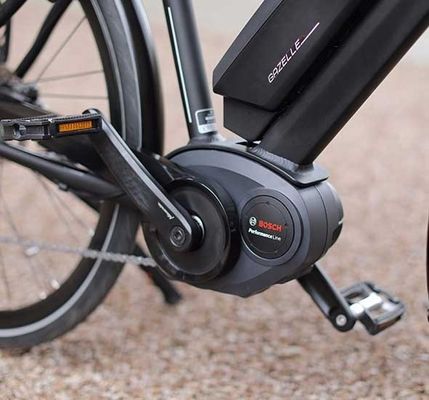 Bafang Central Motor 25KM/H 8.8AH Batteria al litio OEM CE Electric City Cargo Bike