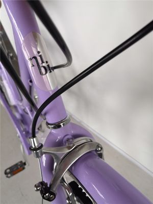 KMC Catena 26 pollici Europa OEM CE Shimano 7 velocità donna Lady City Bici 1.8m Lunghezza