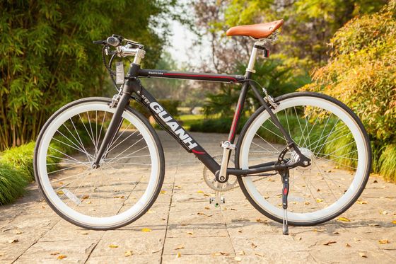 Batteria al litio nascosta 700C 36V 250W 8.8AH 25KM/H Single Speed Electric Bike per uomini adulti