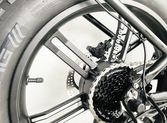 E-bike pieghevole a gomma grassa con batteria al litio da 21A e motore da 750W
