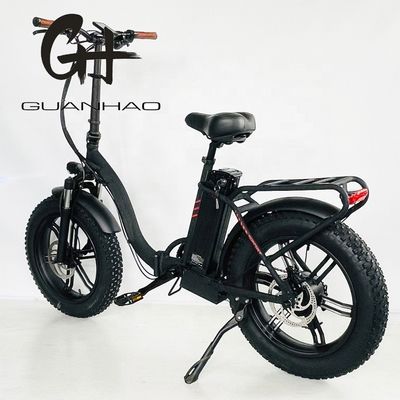 CE approvato 48V 10.4AH Electric Folding Bike con motore da 750W e velocità massima di 50KM/h