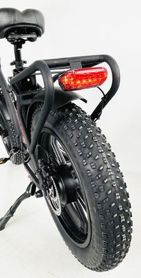 CE approvato 48V 10.4AH Electric Folding Bike con motore da 750W e velocità massima di 50KM/h