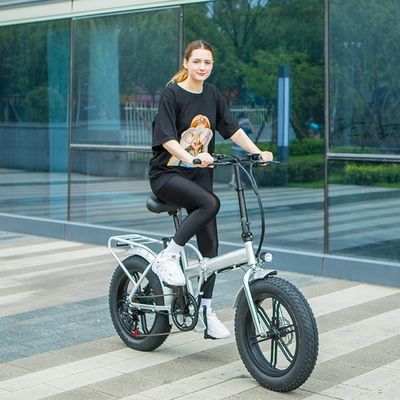 48V 13AH 750W Electric Folding Bike con telaio pieghevole da 20&quot; e set di ruote in lega di magnesio