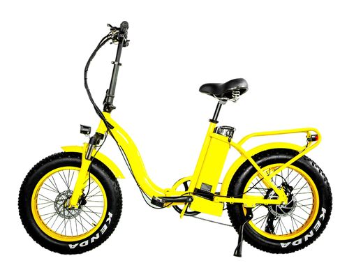 48V 21AH batteria al litio 1000W 50KM/H UL2849 Donna donna personalizzata gomma elettrica fat snow bicicletta pieghevole