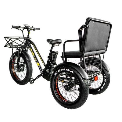 Freno a disco 750W Triciclo elettrico da carico pneumatico grasso 3 ruote E Trike per viaggi a lunga distanza