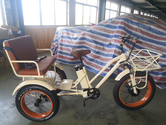 Riccio elettrico a pneumatici a grassi a motore centrale da 750 W con porta-alluminio e sedile passeggeri