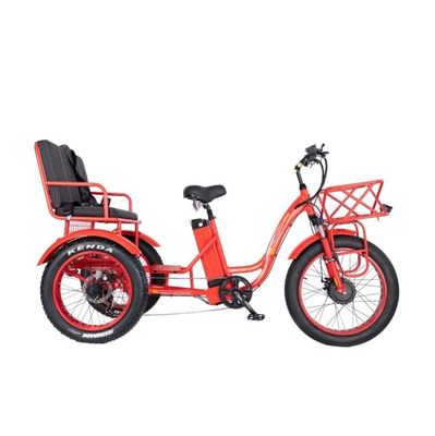 48V E Trike 3 ruote 750 Watt Fat Tire Rickshaw con Bafang 750W Motore e prestazioni