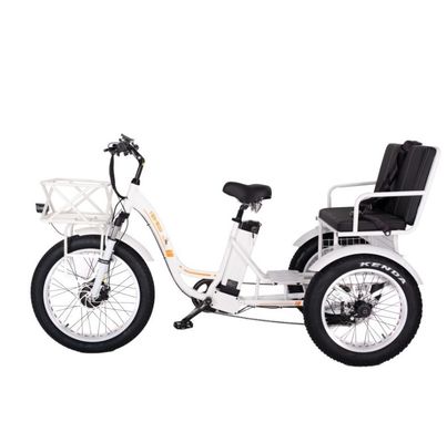 48V E Trike 3 ruote 750 Watt Fat Tire Rickshaw con Bafang 750W Motore e prestazioni