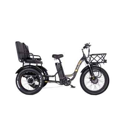 48V E Trike 3 ruote 750 Watt Fat Tire Rickshaw con Bafang 750W Motore e prestazioni