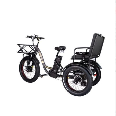 48V E Trike 3 ruote 750 Watt Fat Tire Rickshaw con Bafang 750W Motore e prestazioni