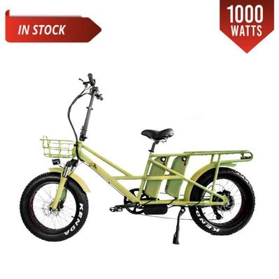 Motore elettrico a doppia carica da 48V da 1000 Watt a lungo raggio gomma a grassi E-bike cargo con ricarica veloce