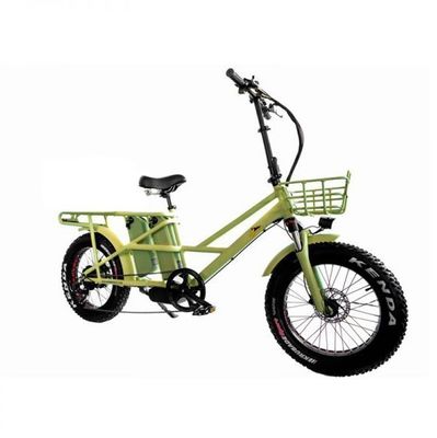 Motore elettrico a doppia carica da 48V da 1000 Watt a lungo raggio gomma a grassi E-bike cargo con ricarica veloce