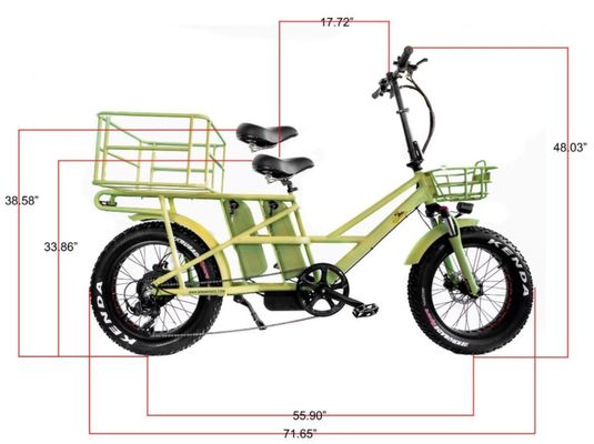 Motore elettrico a doppia carica da 48V da 1000 Watt a lungo raggio gomma a grassi E-bike cargo con ricarica veloce