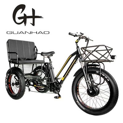Tubo in basso 48V 750W 17AH Batteria al litio 45KM/h bafang Motor anteriore triciclo elettrico passeggeri