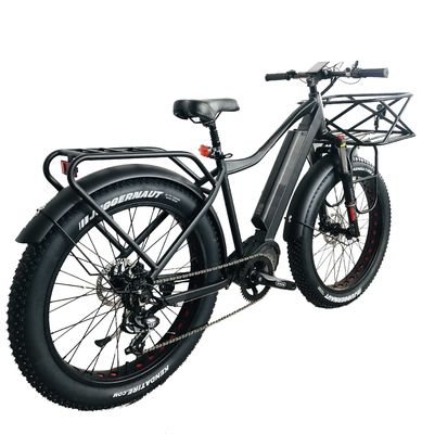 Mercato USA EN15194 CPSC 48V 1000W 17AH Electric Mountain Bike con motore medio Bafang
