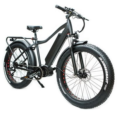 Mercato USA EN15194 CPSC 48V 1000W 17AH Electric Mountain Bike con motore medio Bafang
